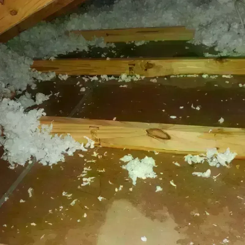 Attic Water Damage in Charlotte Court House, VA